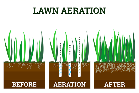 Professional Aeration & Overseeding Services in Neenah WI