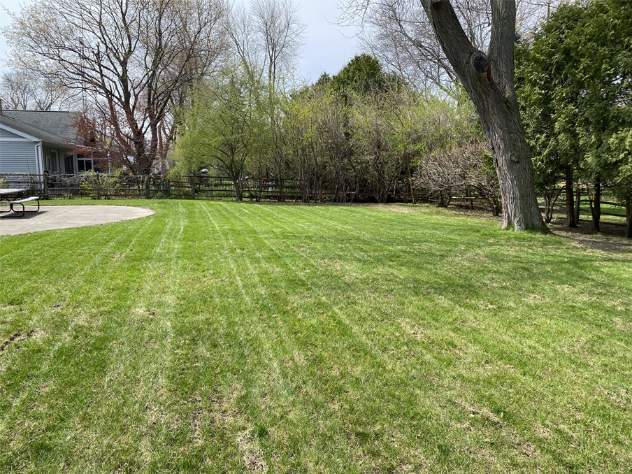 Reliable Lawn Mowing Services in Neenah WI
