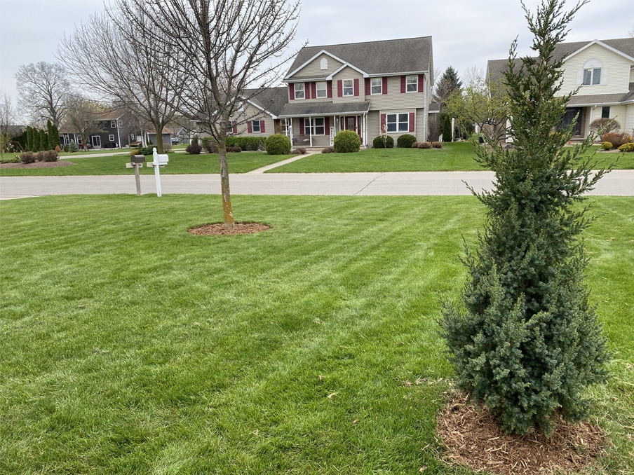 Residential Lawn Mowing Services in Neenah WI