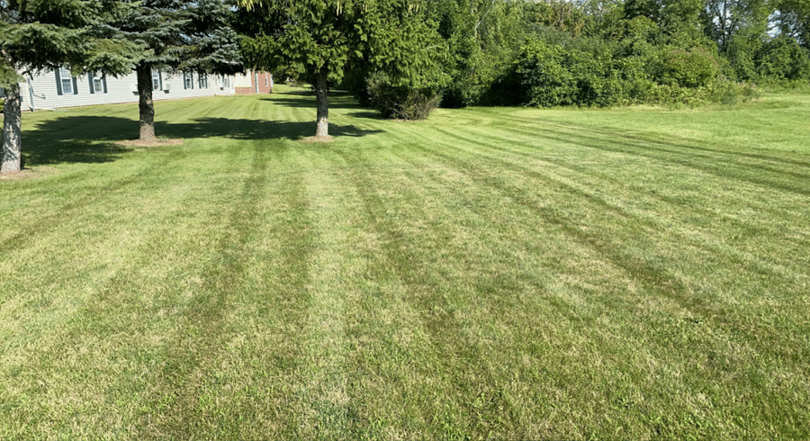 Expert Lawn Maintenance Services in Neenah WI