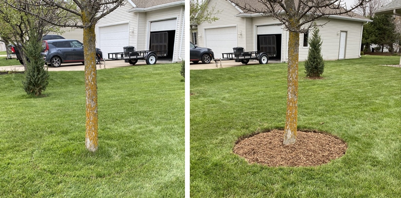 Tree Mulch Services in Neenah WI