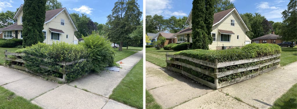 Shrub Trimming Services in Neenah WI
