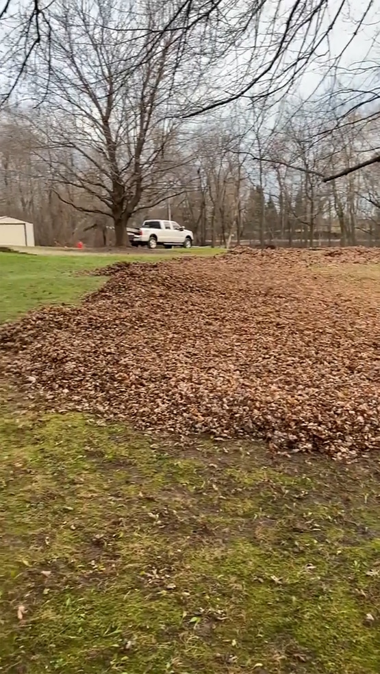 Seasonal Leaf Cleanup Services in Neenah WI