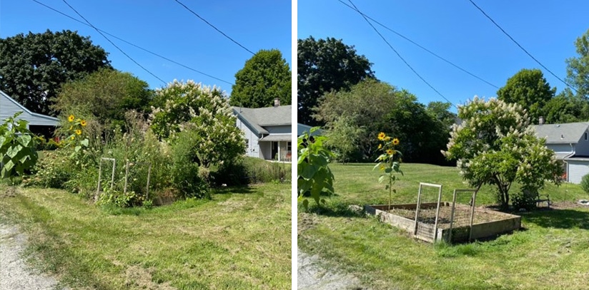 Seasonal Shrub and Tree Cleanup in Neenah WI