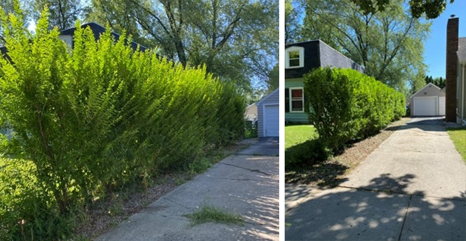 Neenah WI Seasonal Shrub Trimming Services