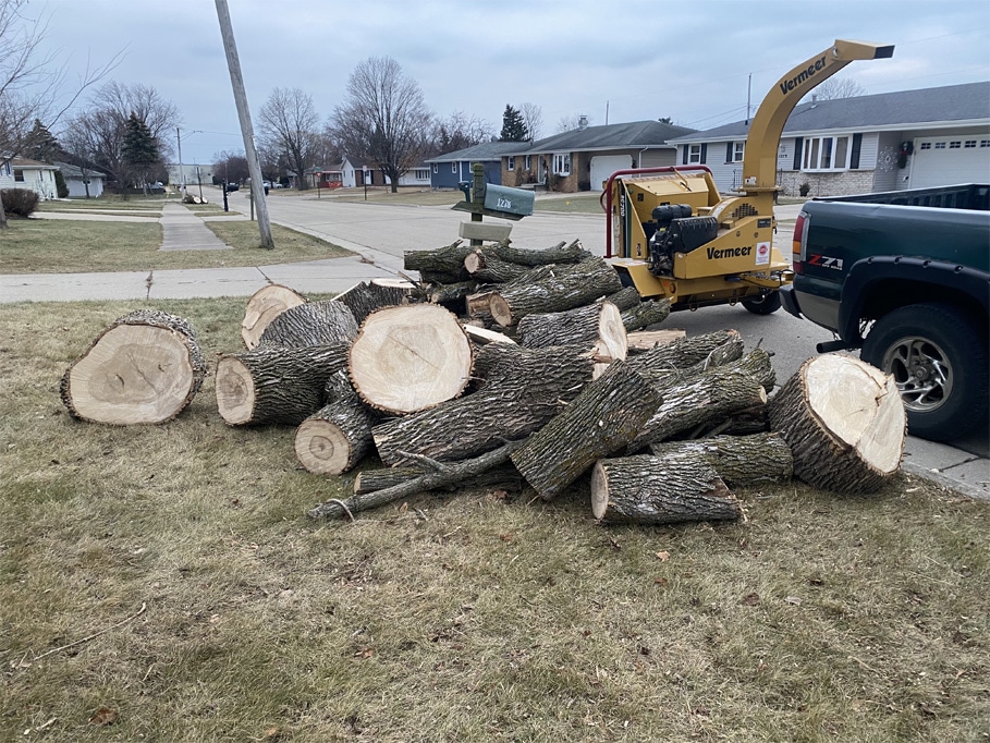 Old Tree Removal Services in Neenah WI