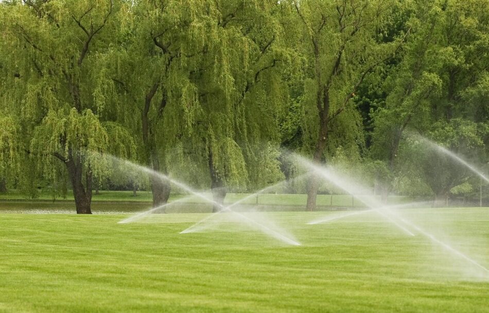Professional Sprinkler Installation Services in Neenah WI