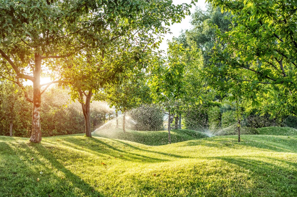 Keep Your Lawn Healthy and Lush with Outdoor Independence LLC