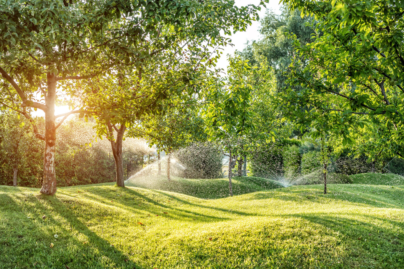 Keep Your Lawn Healthy and Lush with Outdoor Independence LLC